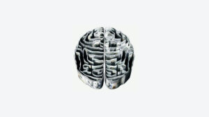 cross section of a maze in the shape of a human brain with walls made of dollar bills 